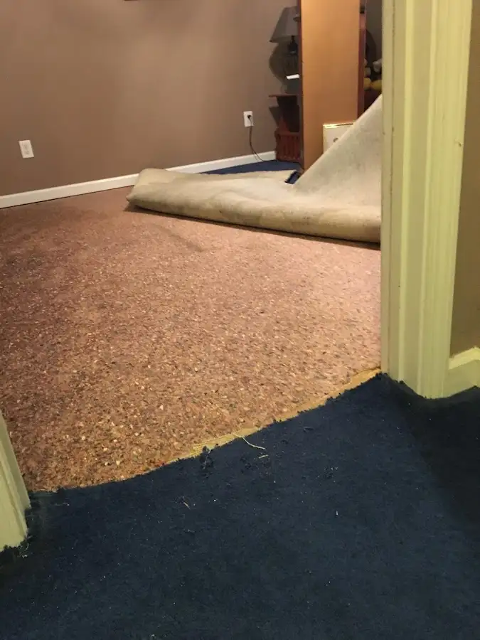 Carpet pad removal revealing water damage during Drying & Dehumidification in Wildwood