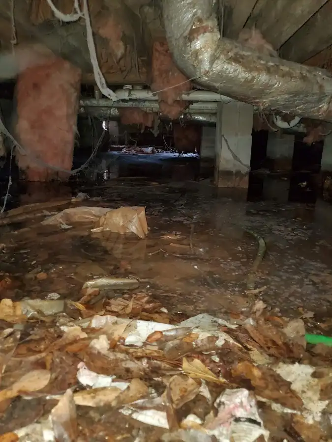 Crawl space flood assessment for Leak Detection & Repair in Wildwood